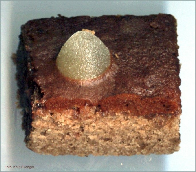Sjokoladekake.  -  www.ekanger.net  -   Foto: Knut Ekanger