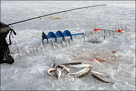 Isfiskere - Islagt i Stavern -  Foto: Knut Ekanger