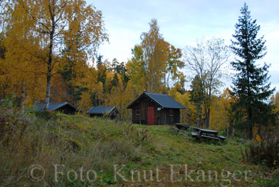 Lilleseter ligger ved veien opp til Musekollen  -  Foto: Knut Ekanger